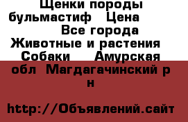 Щенки породы бульмастиф › Цена ­ 25 000 - Все города Животные и растения » Собаки   . Амурская обл.,Магдагачинский р-н